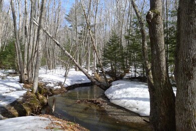0 Tamarack Trail unit 1409037, Camden, ME 04843 - photo 6
