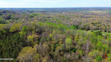DJI_0696