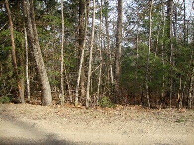 5-1-1 Hodgeman Hill Rd, Campton, NH 03223 - photo 7