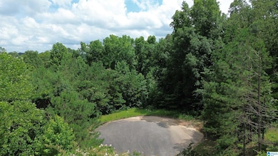 5601 Barclay Cir, Trussville, AL 35173 - photo 6