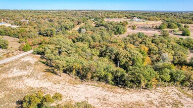 Lot 53 Perkins Rd, Poolville, TX 76487 - photo 5
