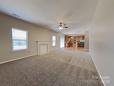 11615 Mud Dr, Midland, NC 28107 - photo 4