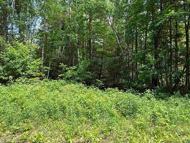 0000 Pokegama Dr, Lac Du Flambeau, WI 54548 - photo 5