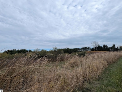 N/A Manor Rd, Au Gres, MI 48703 - photo 7