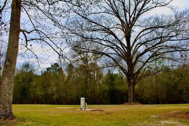 741 Beach Rd, Columbia, MS 39429 - photo 6