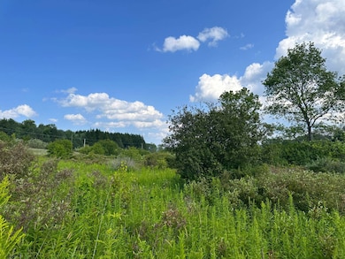 VL White Creek Rd, Friendship, NY - photo 5