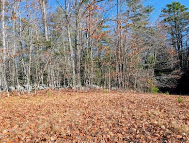 00 W Hamlet Rd, Newcastle, ME 04553 - photo 6