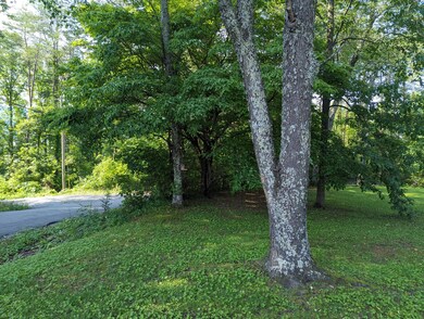PXL_20240605_211735534
