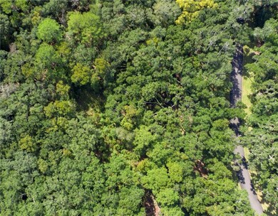 385 Pikes Bluff Dr unit (Lot 228), Saint Simons Island, GA 31522 - photo 2