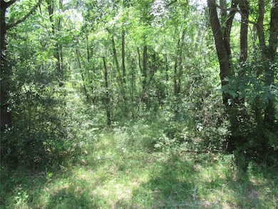 385 Noel, Livingston, TX 77351 - photo 3