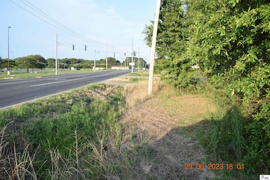 6026 Mer Rouge Rd, Bastrop, LA 71220 - photo 4