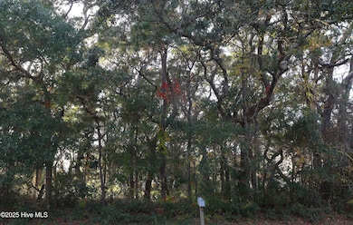 111 SE 78th St, Oak Island, NC 28465 - photo 5