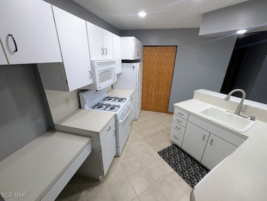 1133 Red Tail Hawk Ct unit 6, Youngstown, OH 44512 - photo 4