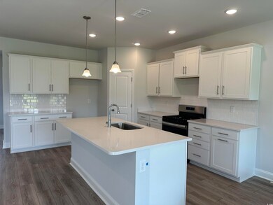 Kitchen with white cabinetry, sink, tasteful backs