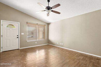 14101 de Stefano Ln, El Paso, TX 79928 - photo 6