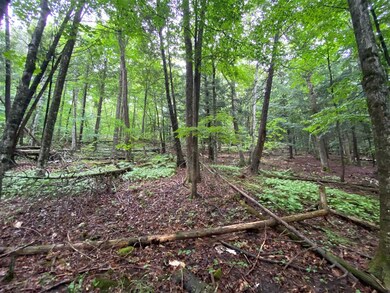 2899 Vermont 5a, Orleans, VT 05860 - photo 2