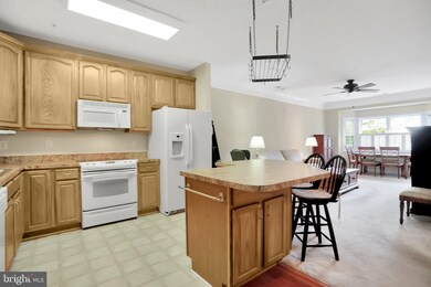 Mill Crossing unit 205, Frederick, MD 21702 - photo 4
