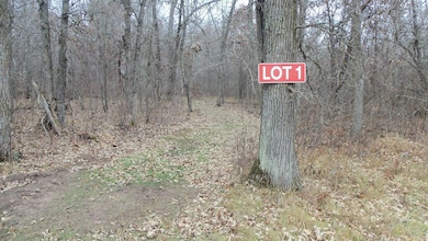 Lot 1 300th St, Sterling Township, WI 54024 - photo 2