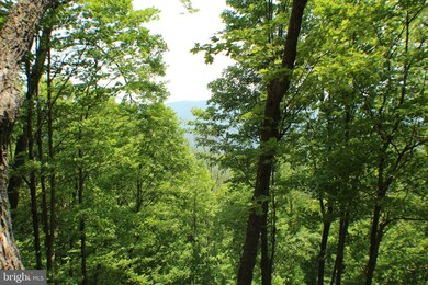 81.53 AC Dolly Sods-Forest Service Rd 19, Cabins, WV 26855 - photo 7