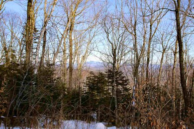 322 Sears Rd, Andover, VT 05143 - photo 2