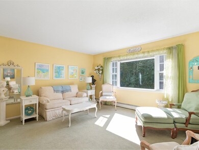 Sunny & bright living room