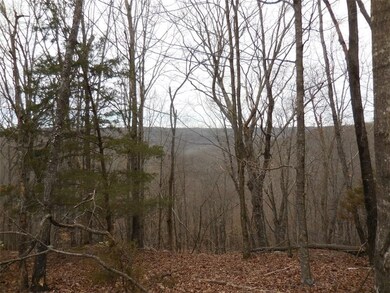 10030 Devils Den Rd, Winslow, AR 72959 - photo 7