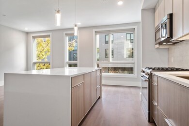 3193 Washington St unit 205, Boston, MA 02130 - photo 5