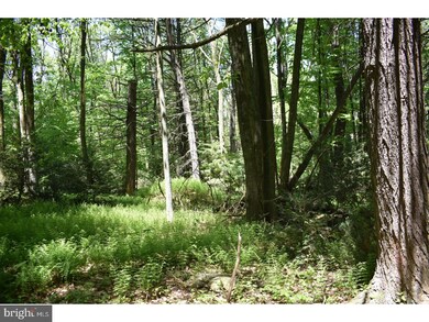 0 Summer Mountain Rd unit 1001713262, New Ringgold, PA 17960 - photo 4