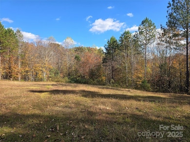 856 Horseshoe Bend Rd, Troy, NC 27371 - photo 2