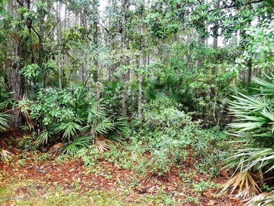 Old Florida Charm