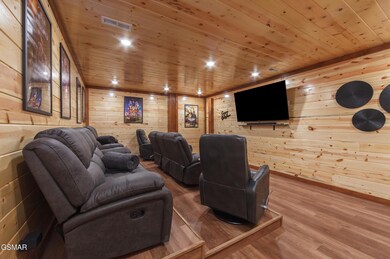 theater room