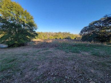 1046 Lutonsky Rd, Fayetteville, TX 78940 - photo 5