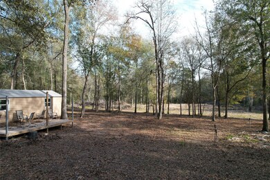 30602 Kate Dr, Magnolia, TX 77355 - photo 5