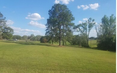 8913 NW 38th Ct, Lake Butler, FL 32054 - photo 4