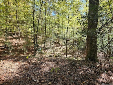 TBD Tunica Trace, Saint Francisville, LA 70775 - photo 7