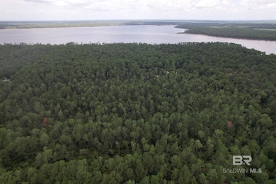 0 Baudin Ln E unit 1,2 361638, Foley, AL 36535 - photo 4