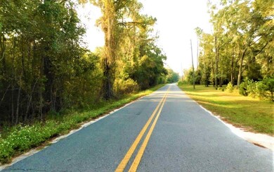 0 Turner Ave NW unit 105606, Lake City, FL 32055 - photo 3