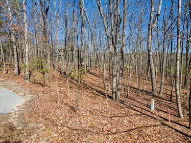 DJI_0958-HDR