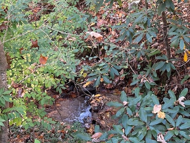 82 Merry Cove Rd, Sylva, NC 28779 - photo 4