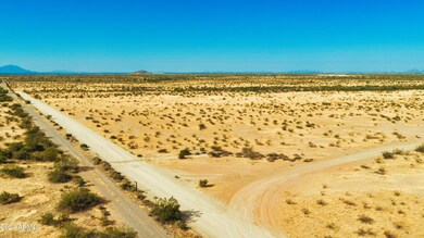 DJI_0499