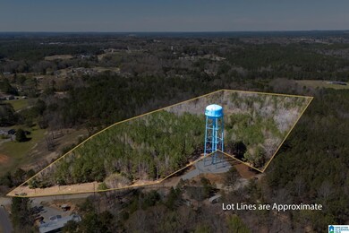 16082 House Rd, Brookwood, AL 35444 - photo 4