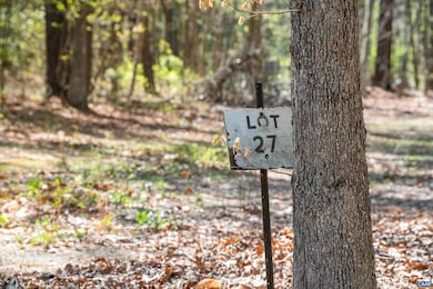LOT 27 Martin Kings Rd unit 7600, Charlottesville, VA 22902 - photo 6