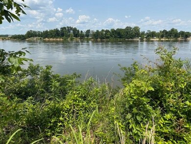 330 Nash Landing Ln, Counce, TN 38326 - photo 2