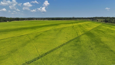 00 U S 49, Brinkley, AR 72021 - photo 4