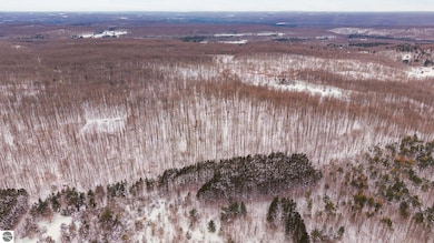 00 Stark Rd unit 17, Mancelona, MI 49659 - photo 7