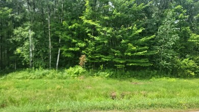 N4651 Pennington Rd, Prentice, WI 54556 - photo 4