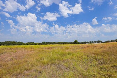13 Aslan Rd, Poolville, TX 76487 - photo 5