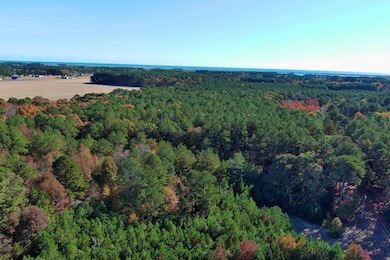 Lot 131 Metompkin Rd unit 131, Parksley, VA 23421 - photo 5