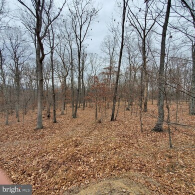 1409 Tabor Rd, Berkeley Springs, WV 25411 - photo 5