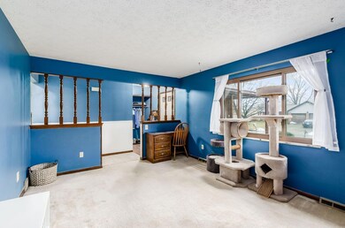 011_25c87e5_g palomar ave-045